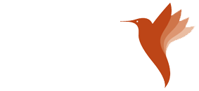 اکسترا